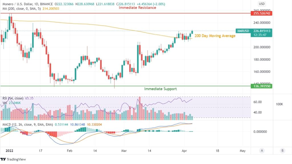 XMR Price Chart